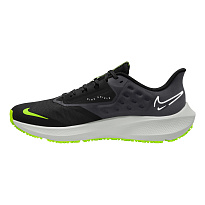 Фото № 1 с приближением к товару «‎Nike Lauf Pegasus 39 Shield»