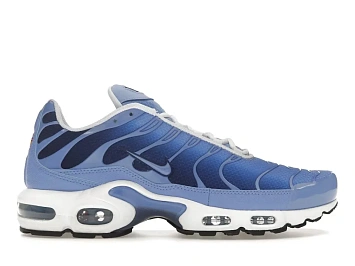 Nike Air Max Plus - 1