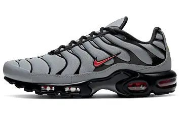 Nike Air Max Plus GreyBlack - 1