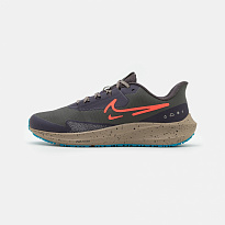 Фото № 1 с приближением к товару «‎Nike Air Pegasus 39 Shield»