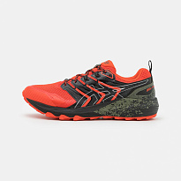 Фото № 1 с приближением к товару «‎Asics Gel Trabuco Terra»