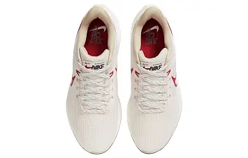 Nike Air Zoom Pegasus 39 Running shoes (FD4344-161) - 6