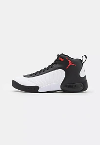 Фото № 1 с приближением к товару «‎JORDAN JUMPMAN PRO»