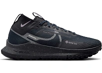 Фото № 1 с приближением к товару «‎Nike Pegasus Trail 4 Gore-Tex Dark Obsidian Metallic Silver »