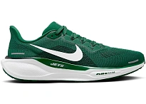 Фото № 1 с приближением к товару «‎Nike Air Zoom Pegasus 41»