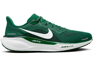 Nike Air Zoom Pegasus 41