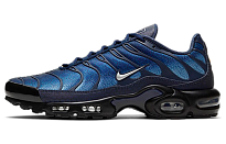 Фото № 1 с приближением к товару «‎Nike Air Max Plus Blue Hex»
