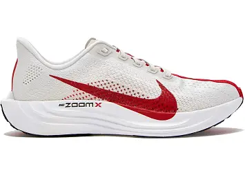Nike Pegasus Plus (FQ7262-003)