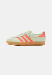Фото № 1 с приближением к товару «‎GAZELLE INDOOR»