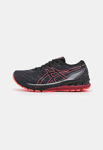 Фото № 1 с приближением к товару «‎Asics Gt-2000 10 Gtx»