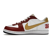 Фото № 3 с приближением к товару «‎Nike Terminator Zoom Low LeBron»
