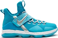Фото № 1 с приближением к товару «‎Nike LeBron 14 Ric Flair »