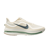Фото № 1 с приближением к товару «‎Nike Pegasus Premium Pale Ivory (HQ2592-106)»