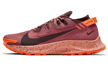 Nike Pegasus Trail 2 'Canyon Rust' - 1