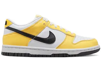 Nike Dunk Low Next Nature