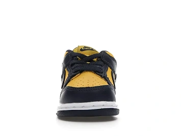 Nike Dunk Low - 2