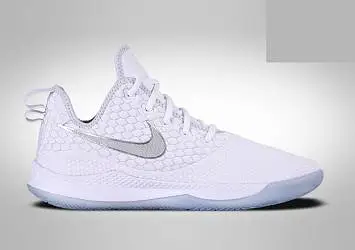 Nike Lebron Witness Iii Chrome - 1