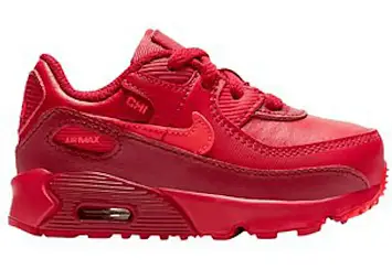 Nike Air Max 90 (DH0153-600)