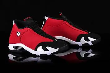 Nike Air Jordan 14 Retro Gym Toro - 3