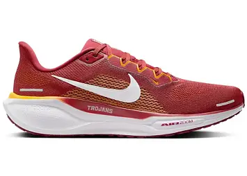Nike Air Zoom Pegasus 41 (FZ5150-600)