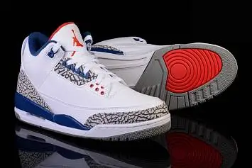 Nike Air Jordan 3 Retro OG True  - 3