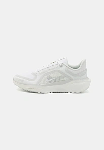 Фото № 1 с приближением к товару «‎AIR PEGASUS 41 GTX»