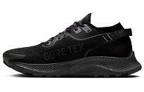 Фото № 1 с приближением к товару «‎Nike Pegasus Trail 2 GORE-TEX Black»
