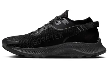 Nike Pegasus Trail 2 GORE-TEX Black - 1