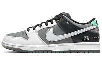 Фото № 1 с приближением к товару «‎Nike Sb Dunk Low Pro Iso Skate Shoes Vx1000 Camcorder»