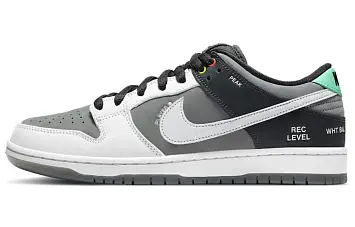 Nike Sb Dunk Low Pro Iso Skate Shoes Vx1000 Camcorder - 1