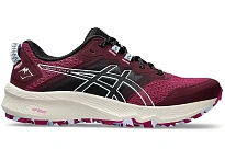 Фото № 1 с приближением к товару «‎ASICS Trabuco Terra 2»