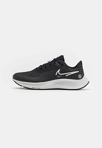 Фото № 1 с приближением к товару «‎Nike Air Zoom Pegasus 38 Shield»