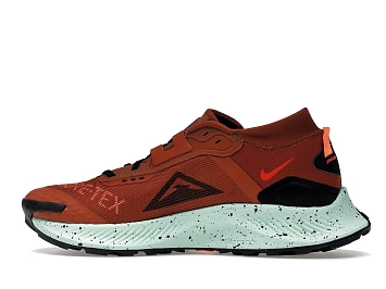 Nike Pegasus Trail 3 Gore-Tex Rugged Orange - 5