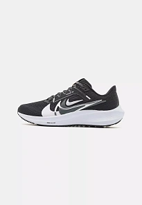 Фото № 1 с приближением к товару «‎AIR ZOOM PEGASUS 40 ANY»