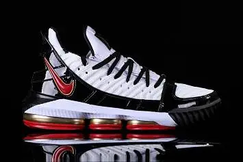 Nike Lebron 16 SB - 2