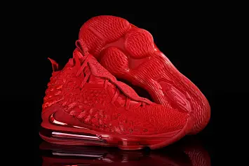 Nike Lebron 17 Carpet  - 3