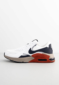 Фото № 1 с приближением к товару «‎Кроссовки Nike SPZZO17W310-A00»
