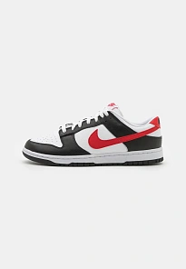 Фото № 3 с приближением к товару «‎DUNK LOW RETRO SC»