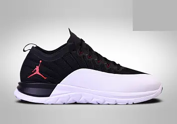 Nike Air Jordan Trainer Prime Playoffs  - 1
