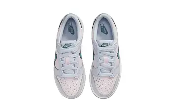 BP Nike Dunk Low Skate shoes - 5