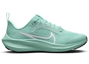 Nike Zoom Air Pegasus 40 (DX2498-300)