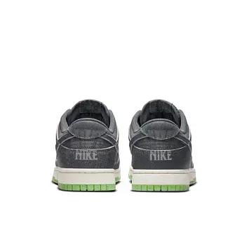  Nike Dunk Low Skate shoes