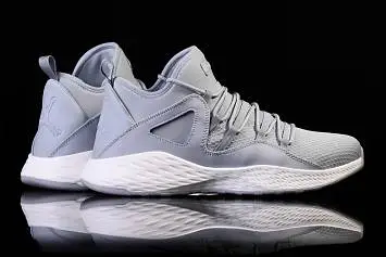Nike Air Jordan Formula 23 Wolf  - 1