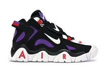 Фото № 1 с приближением к товару «‎Nike Air Barrage Mid Raptors»