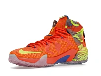 Фото № 4 с приближением к товару «‎Nike LeBron 12 Six Meridians»