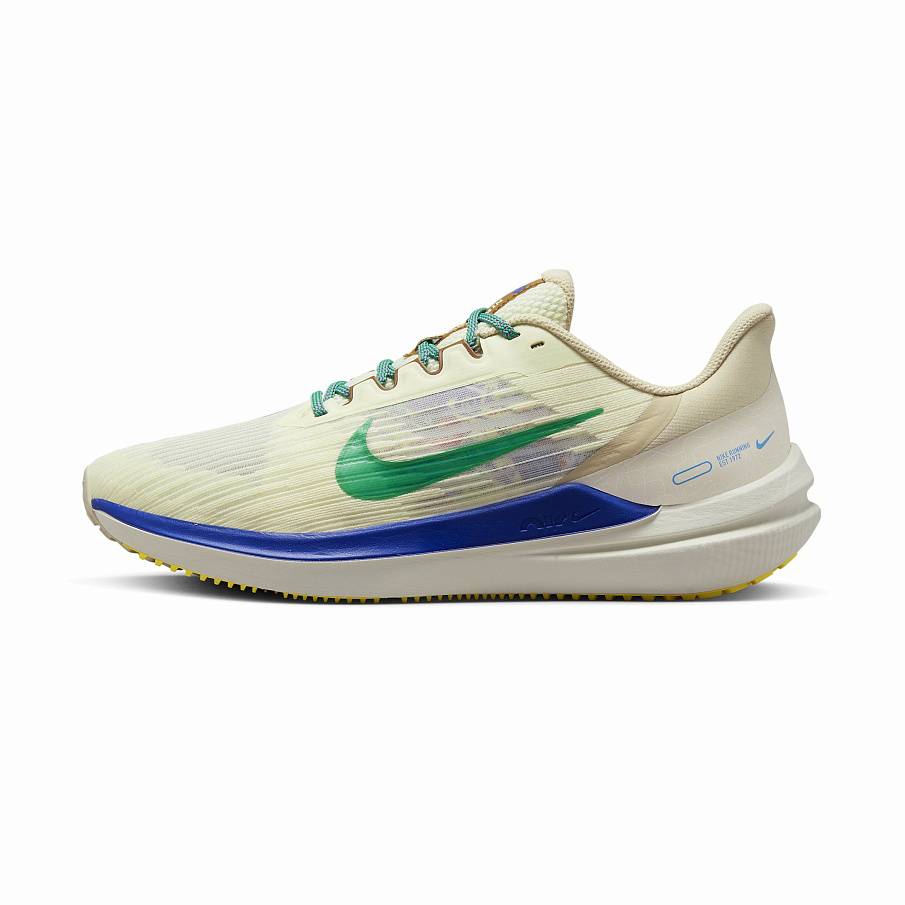 Фото № 1 с приближением к товару «‎Nike Road Winflo 9 Premium»