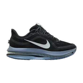 Nike Pegasus Premium Anthracite (HQ2592-006)