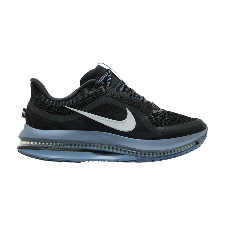 Фото № 1 с приближением к товару «‎Nike Pegasus Premium Anthracite (HQ2592-006)»