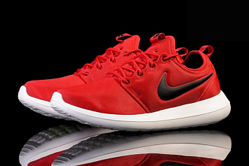 Nike Roshe Two Gym  - 2