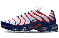 Фото № 1 с приближением к товару «‎Nike Air Max Plus 'USA'»